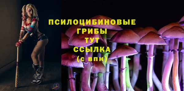 хмурый Няндома