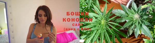 хмурый Няндома