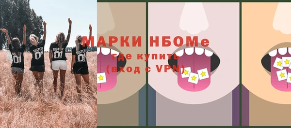 хмурый Няндома