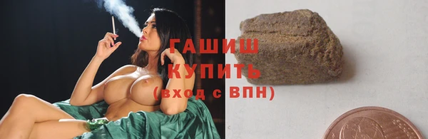 хмурый Няндома