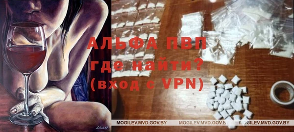 хмурый Няндома