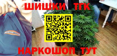 стафф Гусев