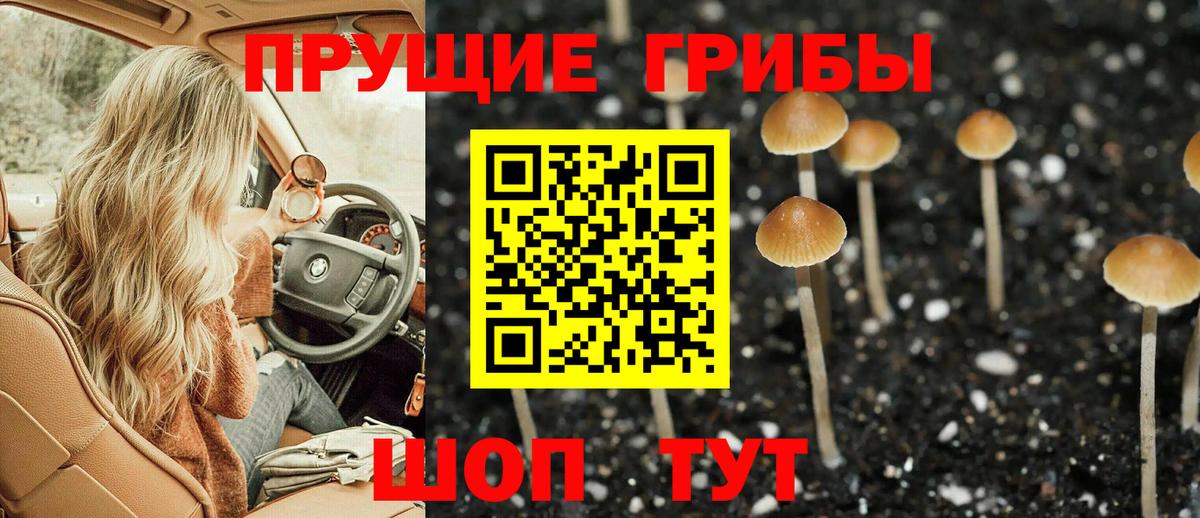 Галлюциногенные грибы Psilocybine cubensis  даркнет сайт  Кашира  Вход с VPN 